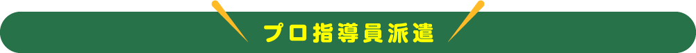 プロ指導員派遣