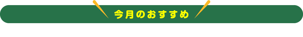 今月のおすすめ