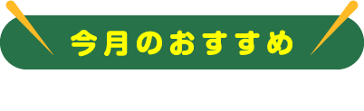 今月のおすすめ